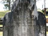 image of grave number 660080